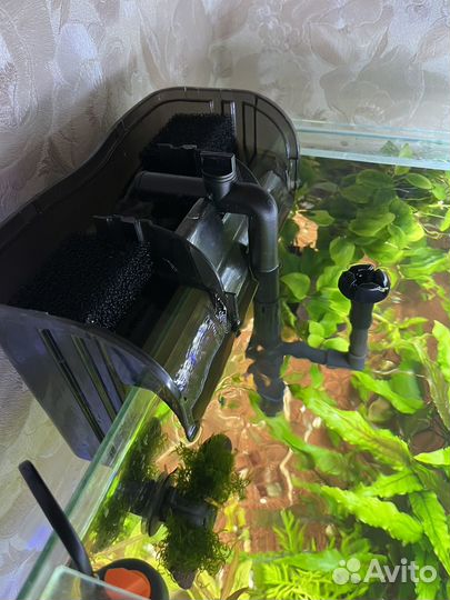 Оборудование для аквариума
