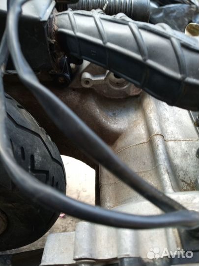 Двигатель 1p39qmb для скутера