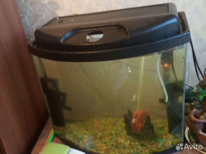 Аквариум