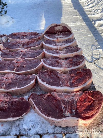 Конина забой 9 сентября