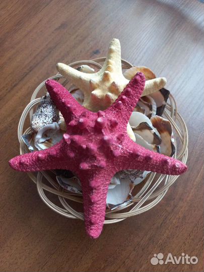 Ракушки и морские звезды