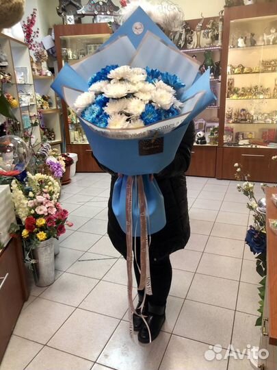 Комнатные растения цветы с доставкой