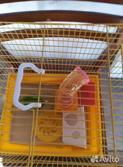 Клетка для грызунов бу