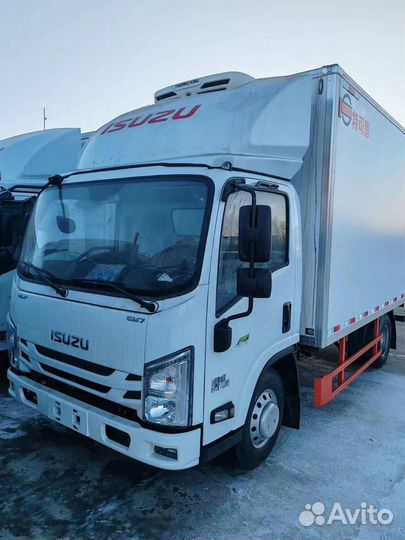 Isuzu Elf (N-series), 2024