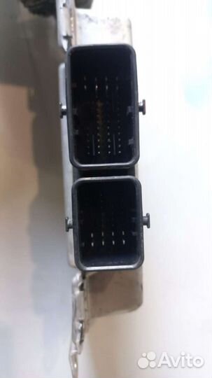 Мозги эбу на газель