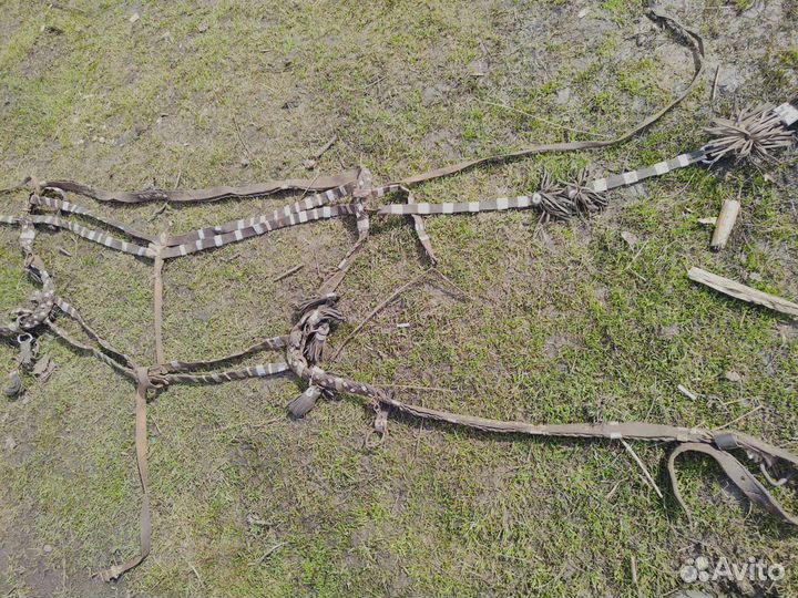 Шлея для лошади, сбруя