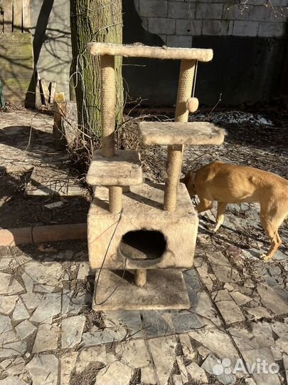 Домик для кошки с подогревом