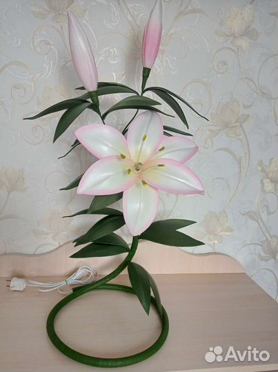 Лилия ночник