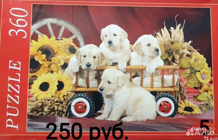 Пазлы новые