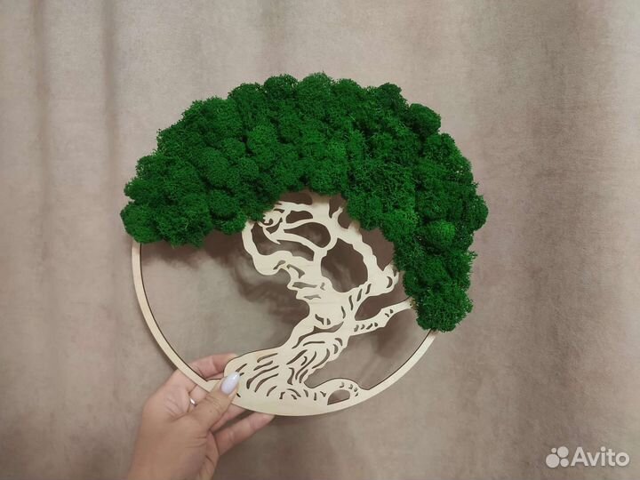 Настенное панно из стабилизированного мха