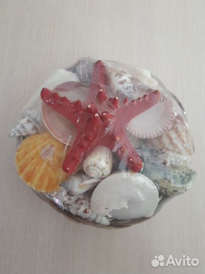 Ракушки в корзине