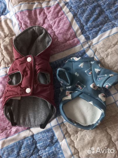 Одежда для животных