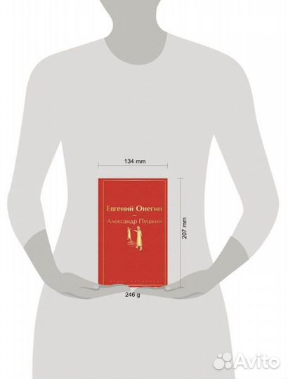 Книга Евгений Онегин Пушкин
