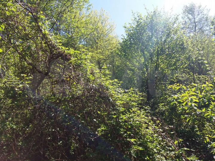 Участок 4,8 сот. (ИЖС)