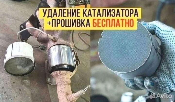 Удаление катализатора бесплатно