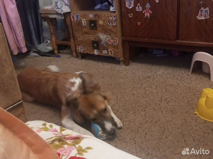 Сводка для кабеля