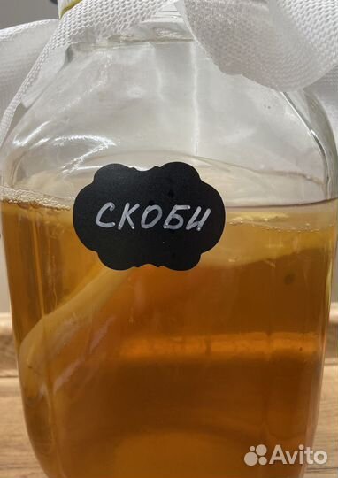 Чайный гриб (комбуча)