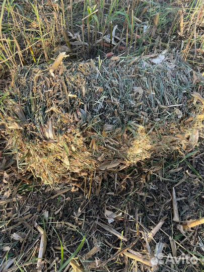 Тюки кукурузные отличного качества с доставкой