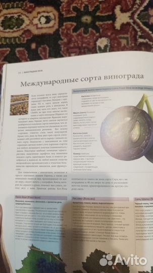 2 Книги: атлас мира вино +книга о вине