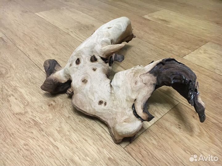 Оборудование для аквариума