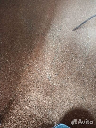 Пшеница, ячмень