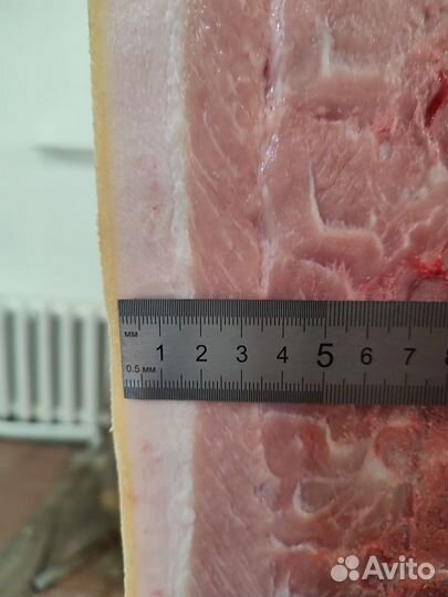 Свинина не жирная полутуши охлажденная с доставкой