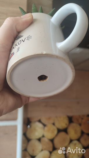 Хавортия полосатая