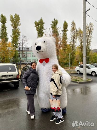 Белый Медведь Мишка Поздравление С Днем Рождения