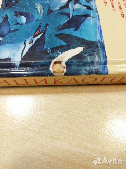 Энциклопедия животных