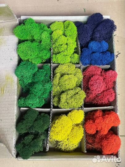 Стабилизированный мох, 1 кг, цвет Изумрудный