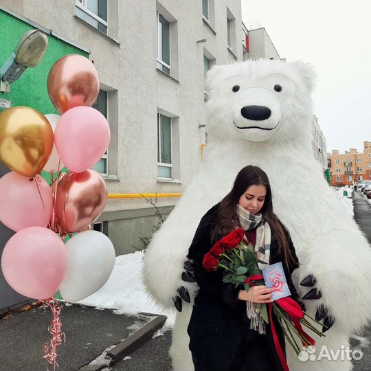 Курьер Белый медведь. Аниматор, поздравление