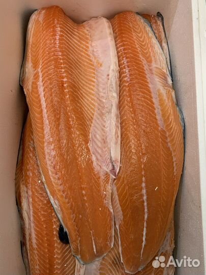 Рыба филе семги, лосось, форель