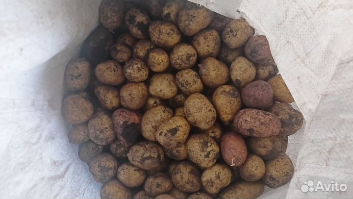 Картофель мелкий на корм животным