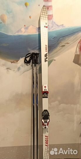 Горные лыжиtua Еagle 185