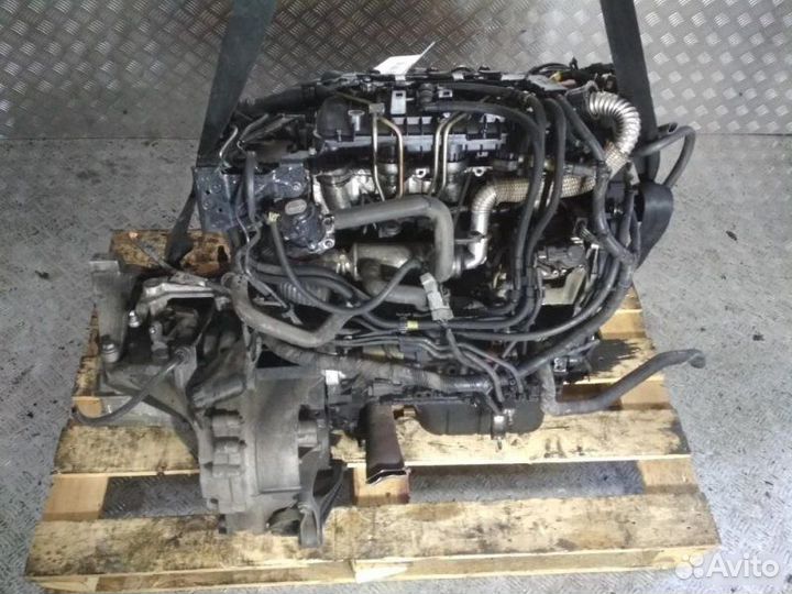 Двигатель Ford C Max hhda