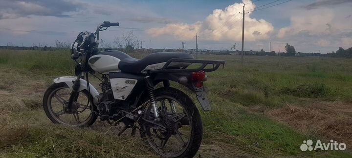 Alpha GS