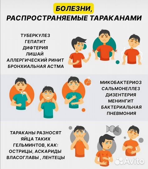 Тиурам гост 740-76 от тараканов, оригинал, 100 гр