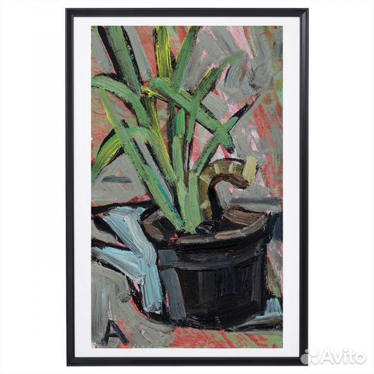 Картины этюды комнатных цветов