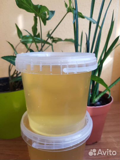 Мед натуральный майский с доставкой