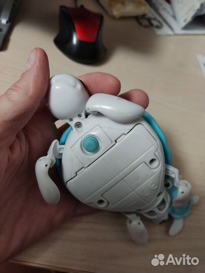 Little live pets питомец черепаха