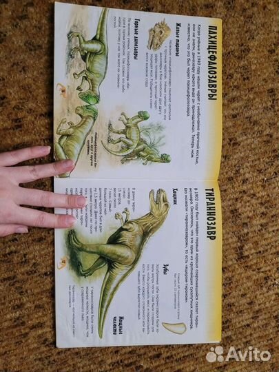 Книга с наклейками про динозавров