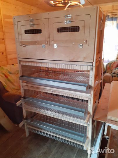 Мини ферма для перепелов