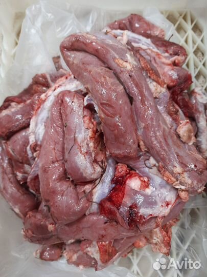 Мясо для собак Корм для животных Микс