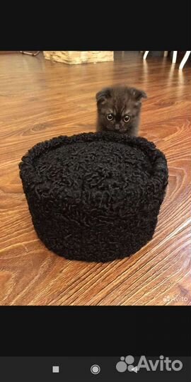 Папахи каракуля