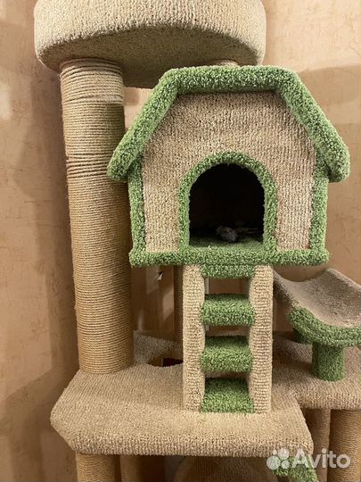 Когтеточка с домиком