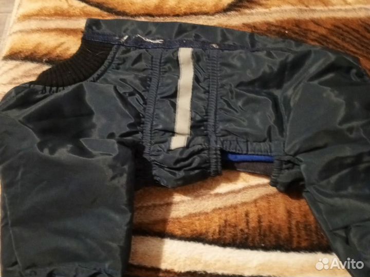 Зимний костюм для собак