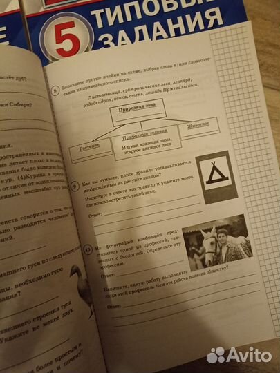 Учебные пособия 5 класс ВПР