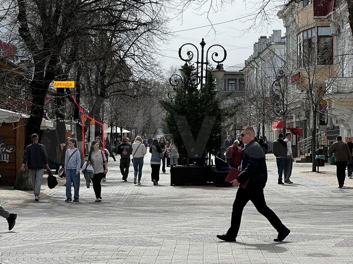 Свободного назначения, 240 м²