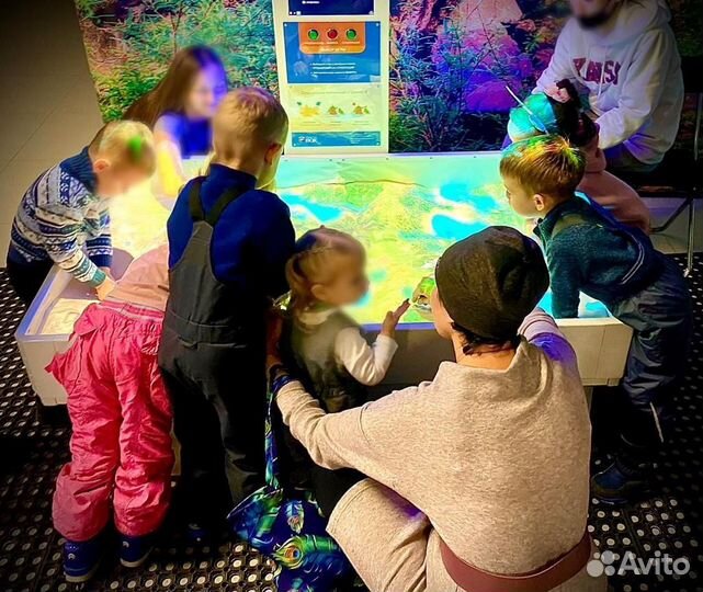 Оператор интерактивных игр