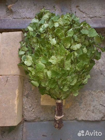 Берёзовые веники